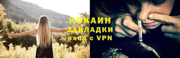 индика Рославль