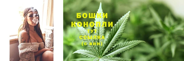 индика Рославль