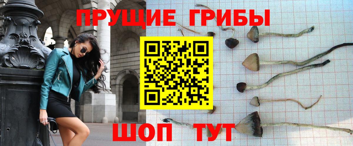 Псилоцибиновые грибы MAGIC MUSHROOMS  Борисоглебск  Псилоцибиновые грибы GOLDEN TEACHER 
