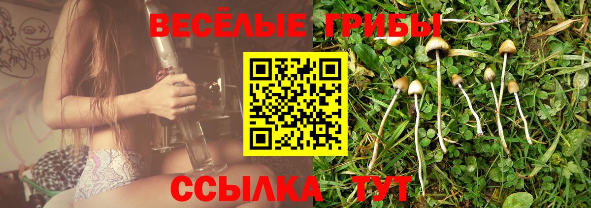 Борисоглебск  где можно купить   Вход с VPN  Псилоцибиновые грибы мицелий 