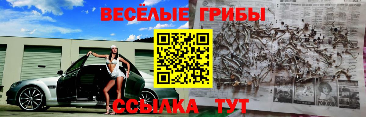 Псилоцибиновые грибы мицелий Борисоглебск
