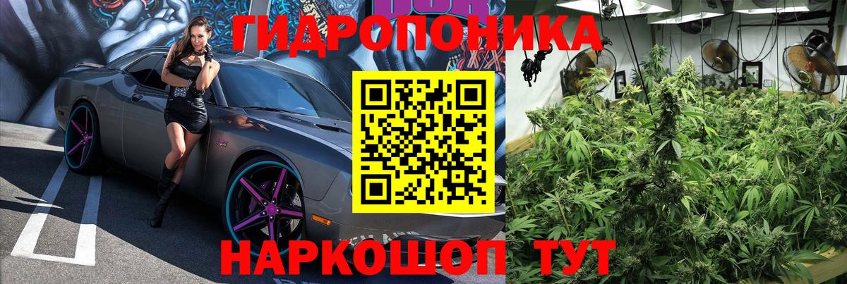 Канабис планчик Борисоглебск